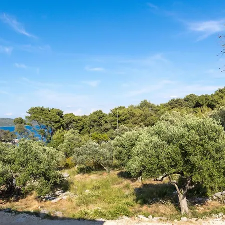 Luxury Mauro With Heated Pool * Božava